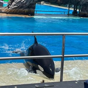 Meet your Posher, Vivian